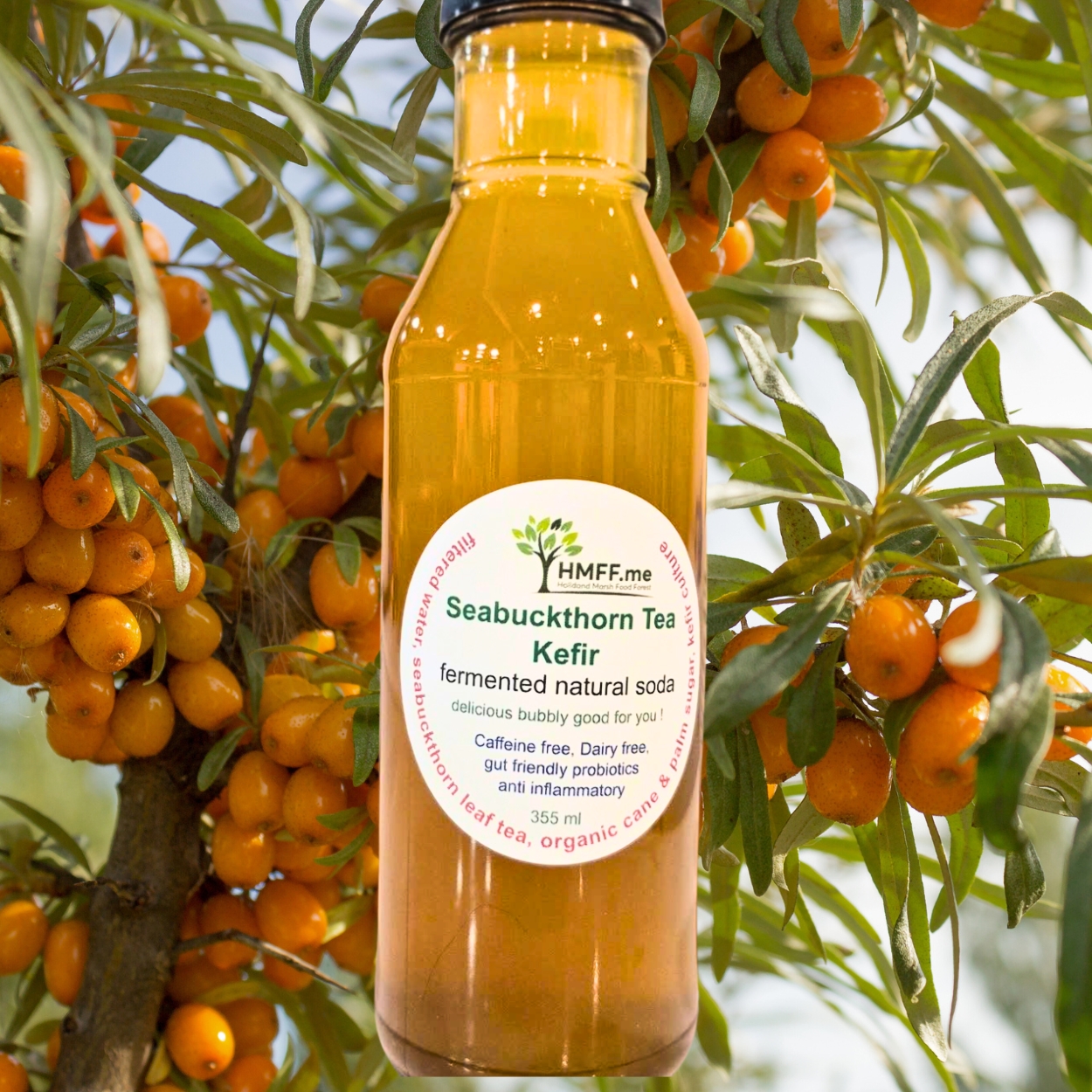 Seabuckthorn Tea RAW Soda